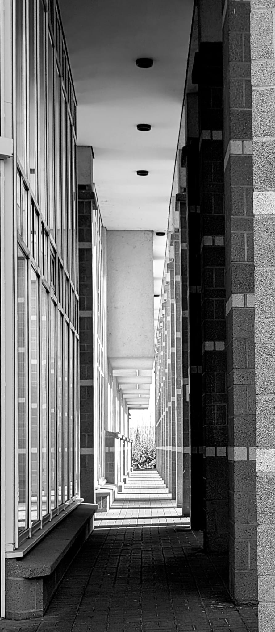 2025 04 09 Mainz